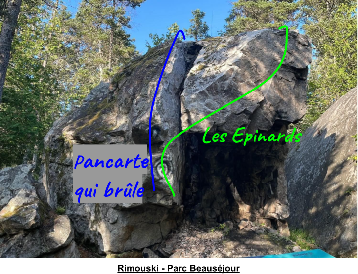 Topo aléatoire