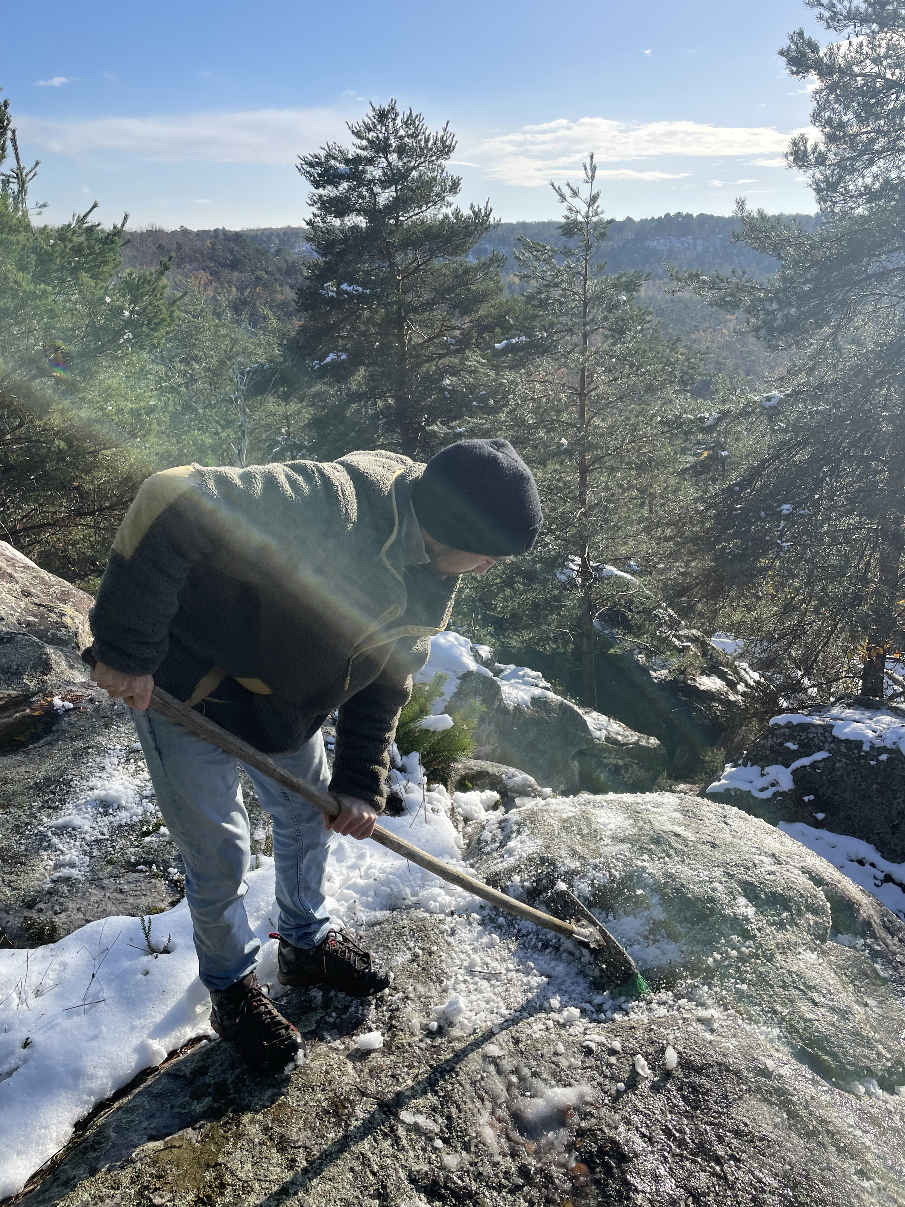En cours de démoussage