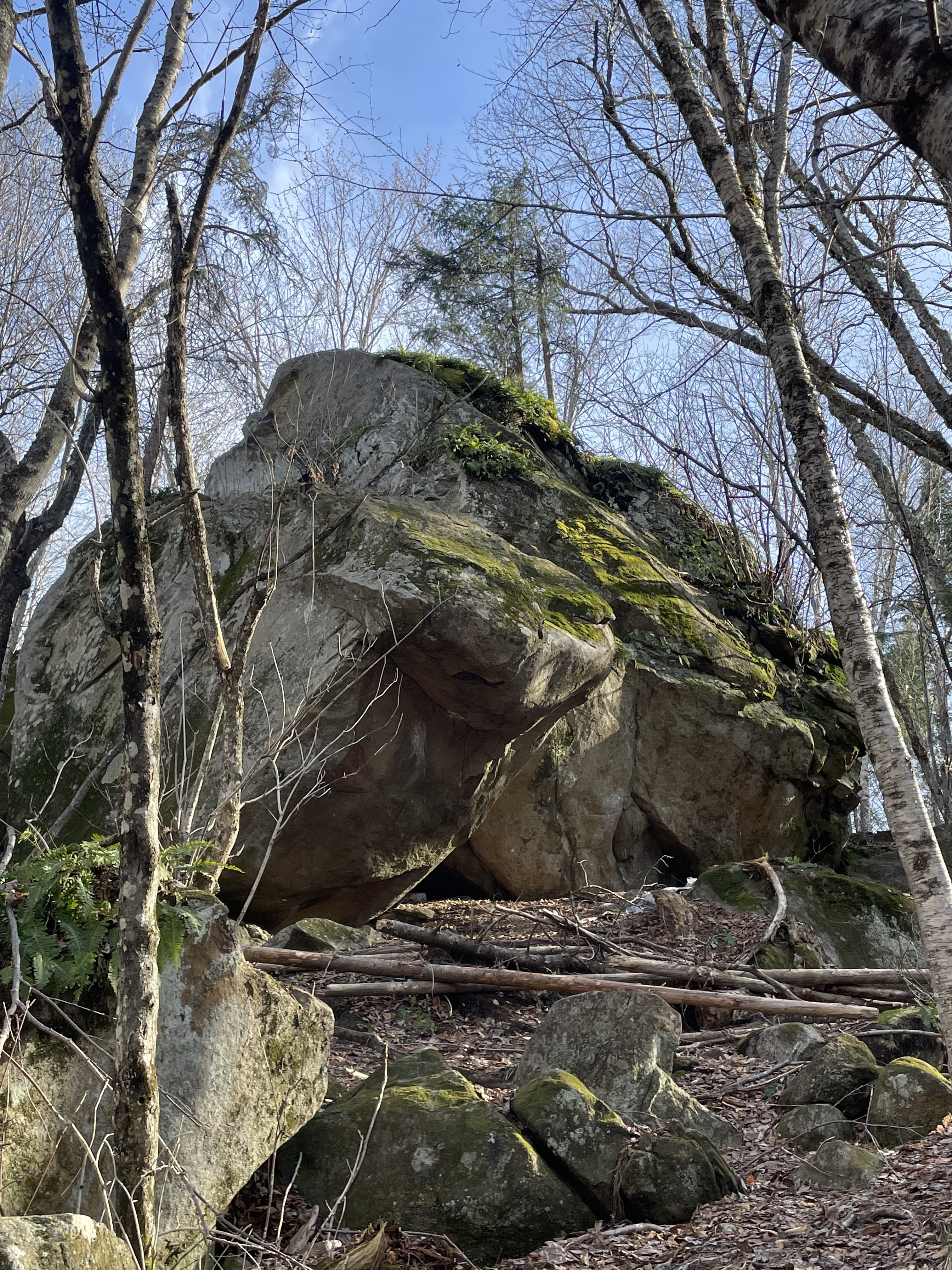 Parc Basler